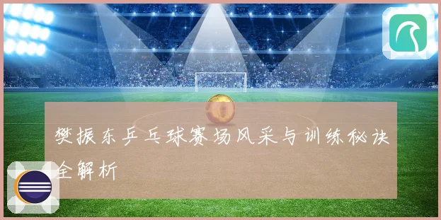 樊振东乒乓球赛场风采与训练秘诀全解析