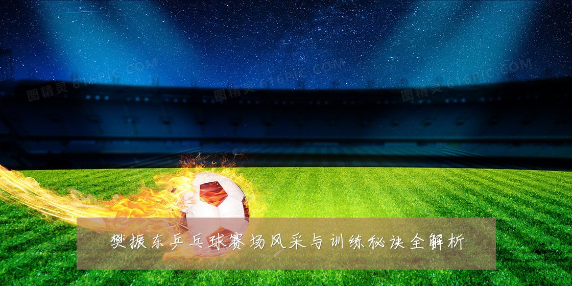 樊振东乒乓球赛场风采与训练秘诀全解析